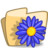Folder Flower Blue Icon